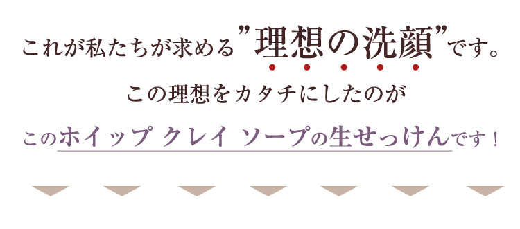 この理想をカタチにしたのがこのホイップ クレイ ソープの生せっけんです！